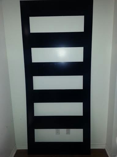 New Modern Exterior Doors with Door Lites and Aluminum Plate
